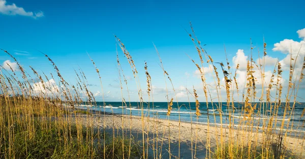 Cocoa Beach — Stock Photo, Image