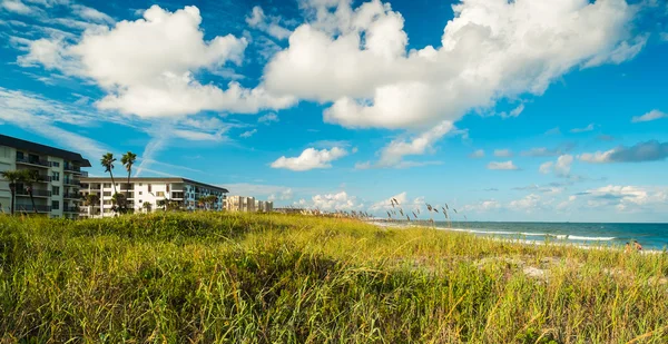 Kakaostrand — Stockfoto