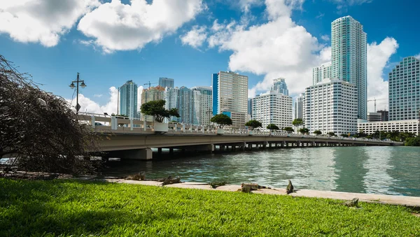 Centro de Miami — Fotografia de Stock