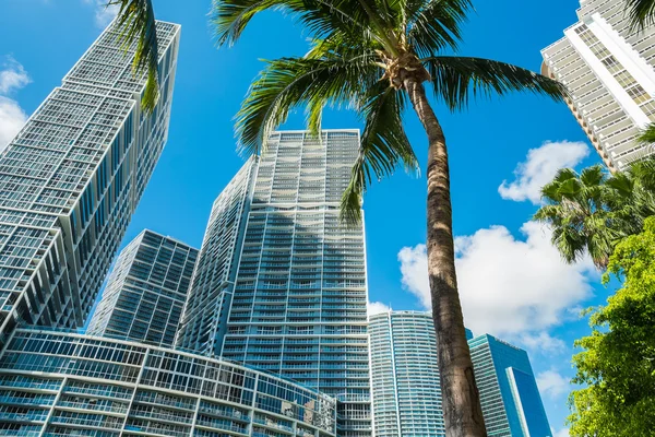 Downtown Miami — Stock Photo, Image