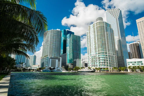 Downtown Miami — Stok fotoğraf