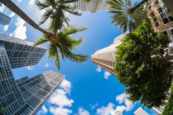 Centro de Miami — Foto de Stock