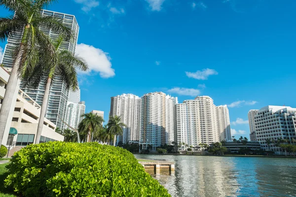 Centro de Miami — Fotografia de Stock