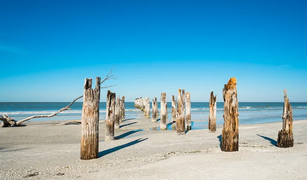 Fort Myers strand - Stock-foto