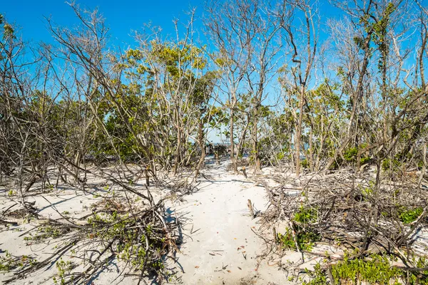 Fort Myers Beach — Zdjęcie stockowe