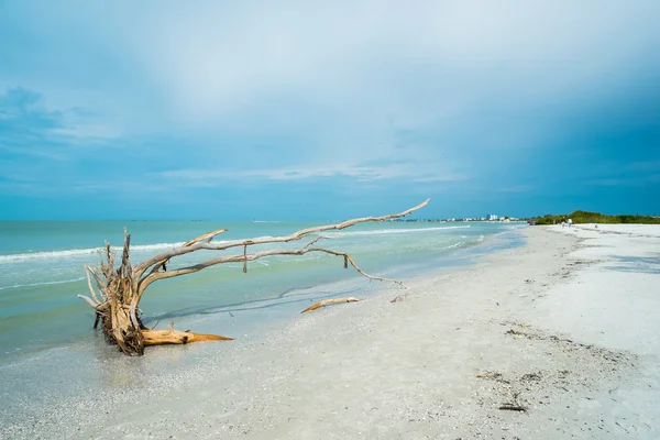 Spiaggia di Fort Myers — Foto Stock