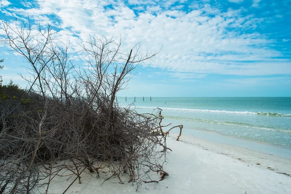 Spiaggia di Fort Myers — Foto Stock