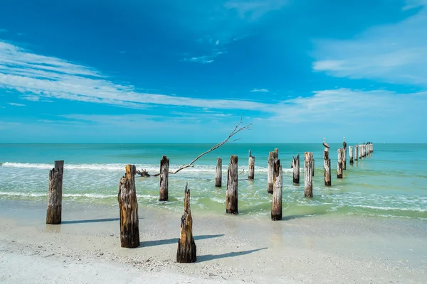 Spiaggia di Fort Myers — Foto Stock