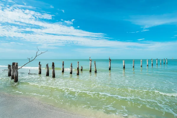 Plage de Fort Myers — Photo