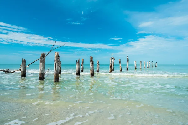 Fort myers παραλία — Φωτογραφία Αρχείου