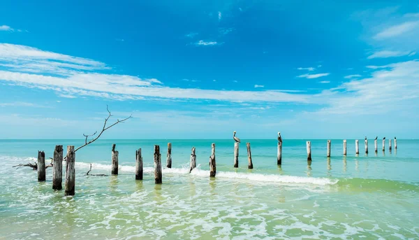 Praia de Fort Myers — Fotografia de Stock