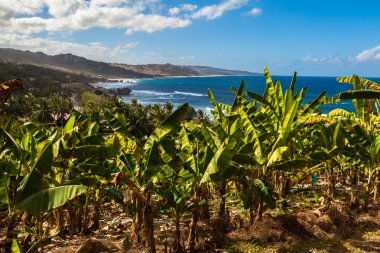 Barbados