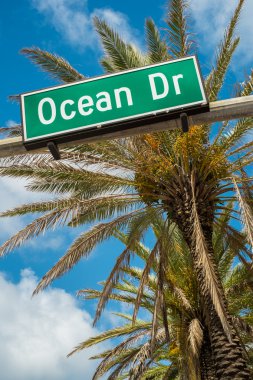 Ocean drive