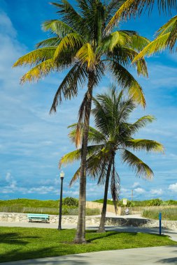Miami Beach