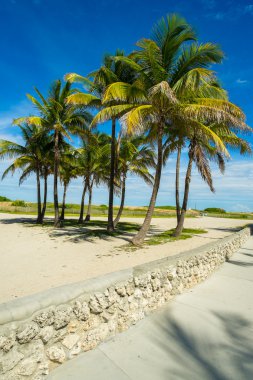 Miami Beach