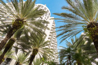Miami Beach