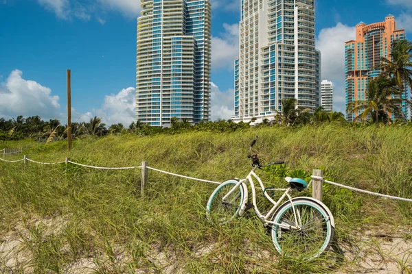 Zuid-strand — Stockfoto