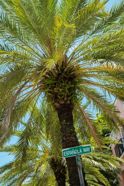 Miami Beach — Fotografia de Stock