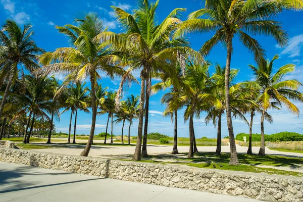 Miami Beach — Foto de Stock