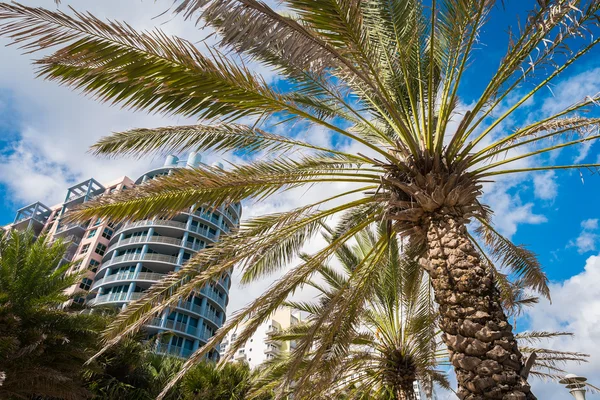 Miami Beach — Stock Photo, Image