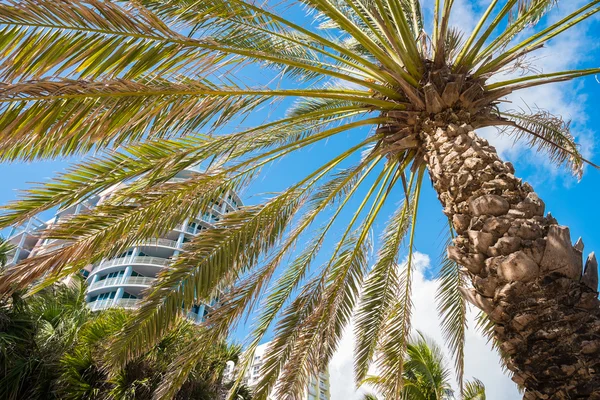 Miami Beach — Stock Photo, Image