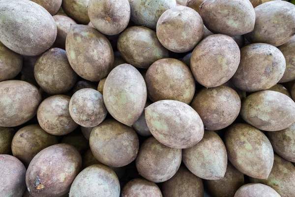 Sapodilla — Stock Photo, Image