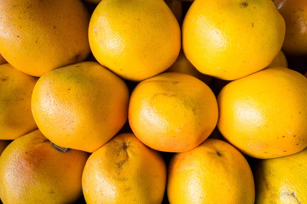 Grapefruit — Stock Photo, Image