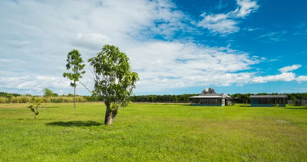 Azienda agricola rurale — Foto Stock