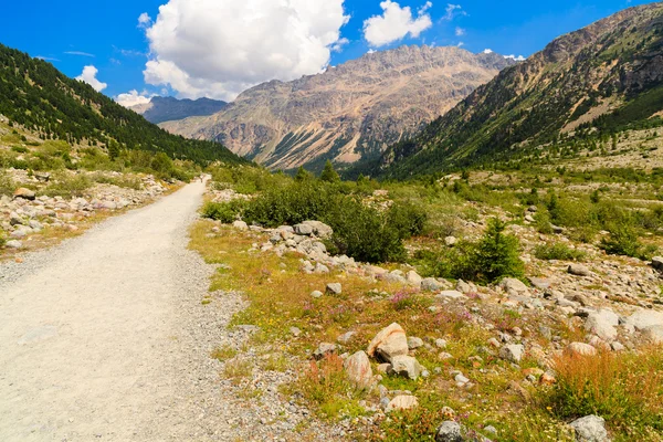 Swiss Mountains — Stock Photo, Image