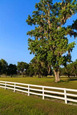 White Picket Fences clipart