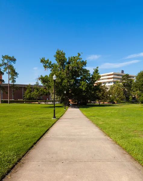 Hochschulcampus — Stockfoto