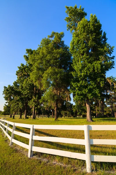 White Picket Fences — Stock Photo, Image