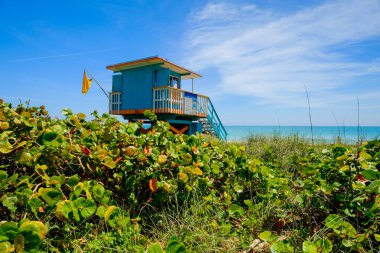 Miami Beach