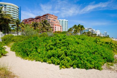 Miami Beach