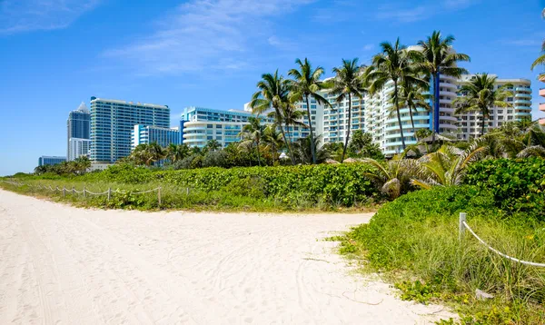 Strand von Miami — Stockfoto