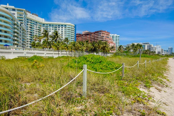 Miami Beach — Stok Foto