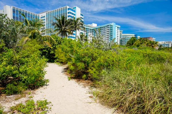 Miami Beach — Fotografia de Stock