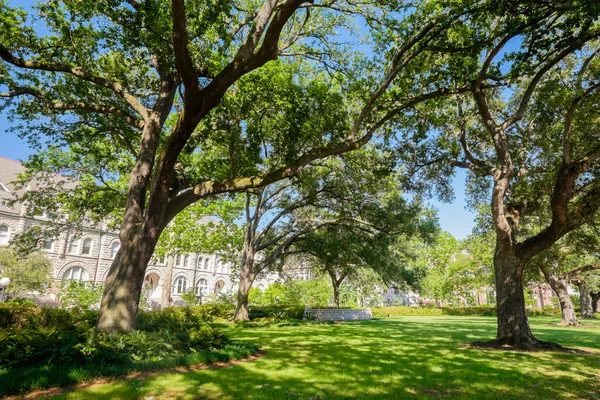 Universidade de tulano — Fotografia de Stock