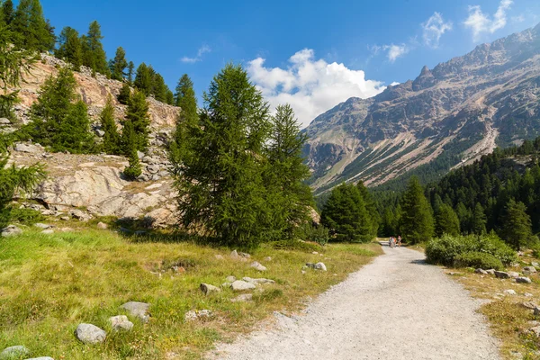 Swiss Mountains — Stock Photo, Image