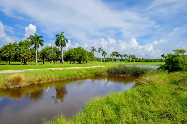 Güzel golf sahası — Stok fotoğraf