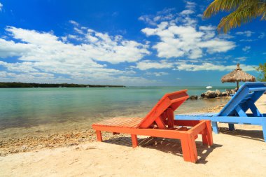 Beautiful Florida Keys clipart