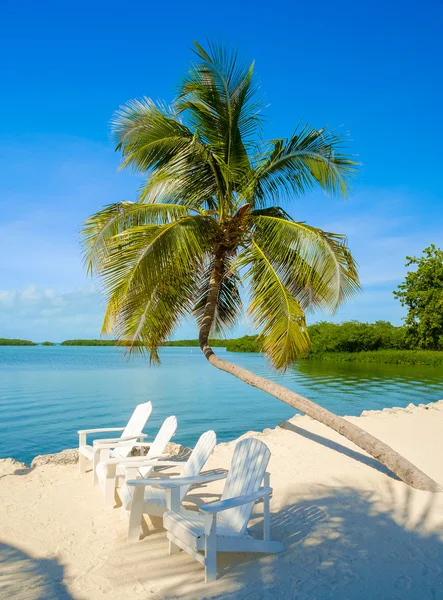 Florida Keys — Stockfoto