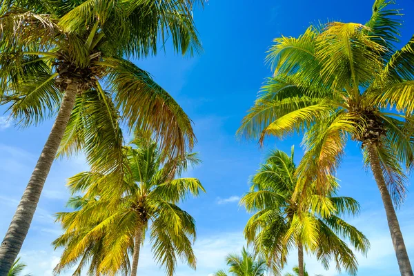 Florida Keys