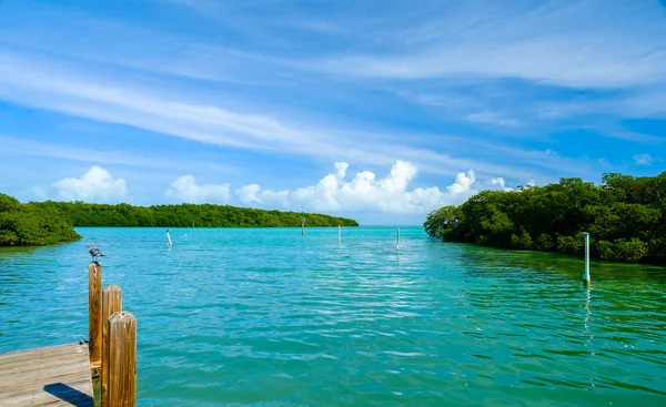 Florida Keys — kuvapankkivalokuva