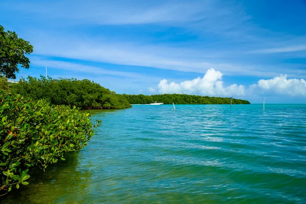 Floryda Keys — Zdjęcie stockowe