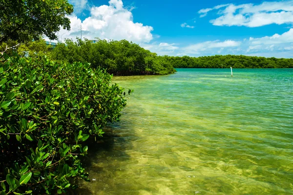 Floryda Keys — Zdjęcie stockowe