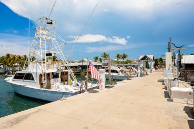 Key West Bight Marinası