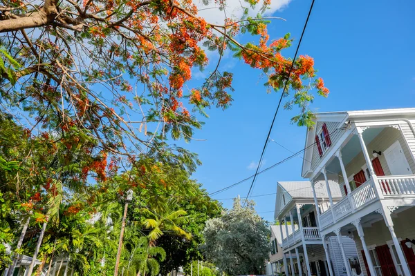 Key west huizen — Stockfoto