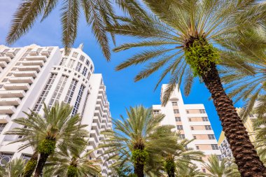 Miami Beach