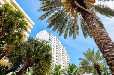 Miami Beach